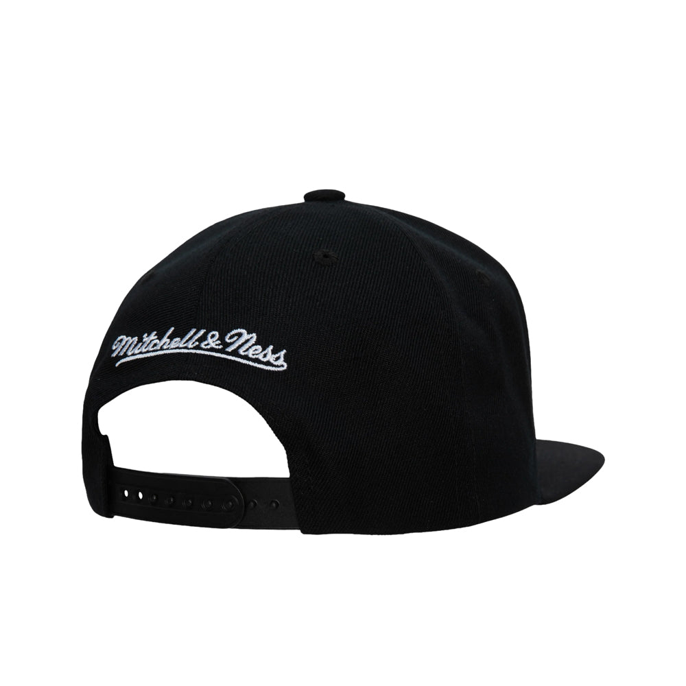 NBA Team Ground 2.0 Snapback Nets