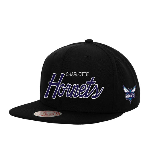 NBA Team Ground 2.0 Snapback Hornets